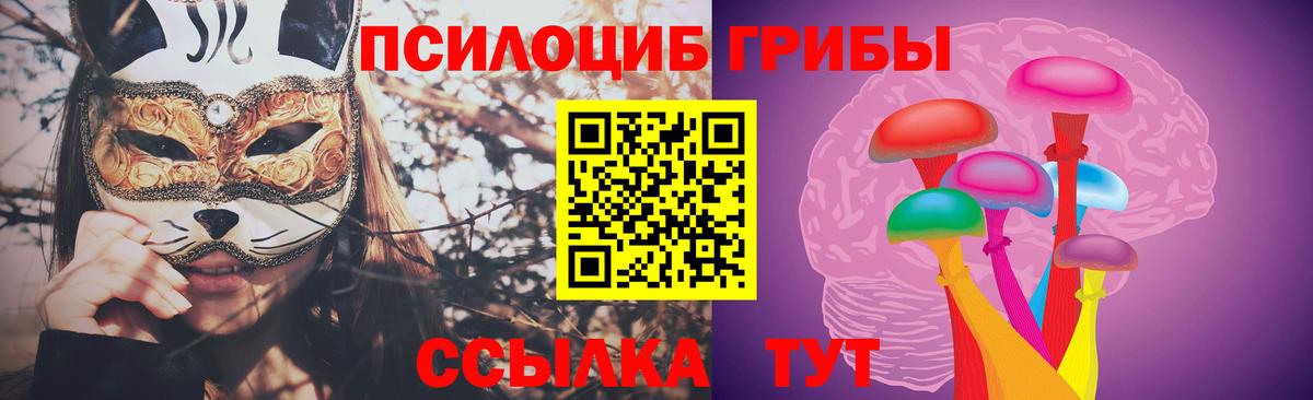 Галлюциногенные грибы MAGIC MUSHROOMS  Вход с VPN  Балашиха 